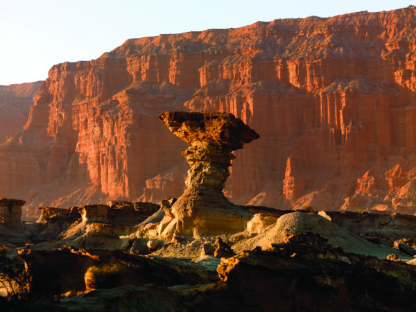 Hongo en Ischigualasto Valle Fertil